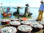 Bà Rịa – Vũng Tàu: Thi giải pháp đổi mới sáng tạo nghề cá 