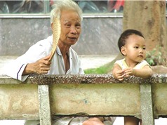 Việt Nam sẽ là một trong những quốc gia già hóa nhanh nhất thế giới