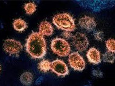 Biến thể COVID-19 AY4.2 lây nhiễm mạnh hơn Delta