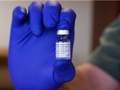 Hội đồng FDA Mỹ khuyến nghị sử dụng vaccine COVID-19 của Pfizer COVID cho trẻ nhỏ