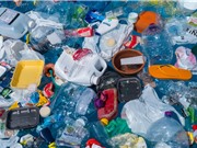 Vi khuẩn ăn nhựa có thể hỗ trợ các nỗ lực tái chế toàn cầu