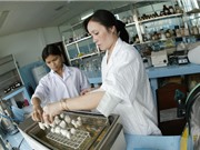 Viện NLNTVN: Đẩy mạnh ứng dụng năng lượng nguyên tử tại Đà Nẵng