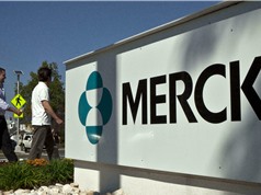 EU cấp phép cho thuốc chống COVID-19 của Merck