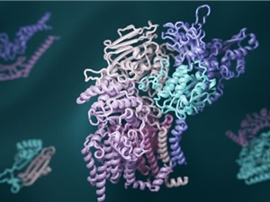 Học sâu tiết lộ cách các protein tương tác