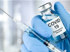Nghiên cứu mới ở Anh cho thấy vaccine COVID-19 an toàn với phụ nữ mang thai