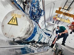 Các nhà vật lý dò được các tín hiệu của hạt neutrino tại LHC