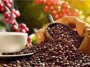 Phát hiện mới về quần xã giun tròn liên quan đến sản lượng cà phê
