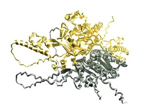 Science chọn thuật toán giải cấu trúc protein là đột phá khoa học của năm 