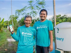Indonesia: eFishery gọi vốn thành công 90 triệu USD