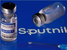 Vaccine Sputnik V có hiệu quả khoảng 75% chống lại biến thể Omicron