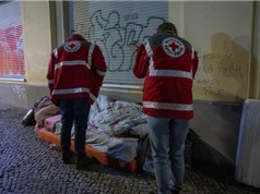Ủy ban Chữ thập đỏ Quốc tế  bị hack, làm lộ dữ liệu của 515.000 người dễ bị tổn thương