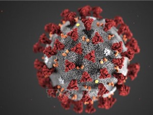 Tải lượng virus SARS-CoV-2 của trẻ em thấp hơn người lớn