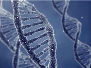 Xét nghiệm DNA có thể phát hiện các rối loạn thần kinh phổ biến