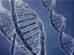 Xét nghiệm DNA có thể phát hiện các rối loạn thần kinh phổ biến
