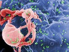 Người thứ ba trên thế giới được chữa khỏi HIV