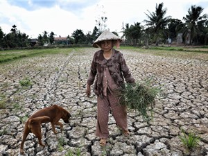 Báo cáo mới nhất về tác động của biến đổi khí hậu đến Việt Nam