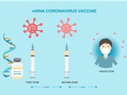 Việt Nam sẽ tiếp nhận công nghệ sản xuất vaccine mRNA từ WHO