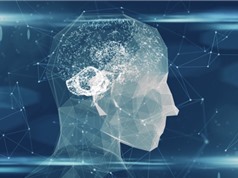 [Video] Cơ chế ghi nhớ của não bộ người cũng giống như bộ nhớ máy tính