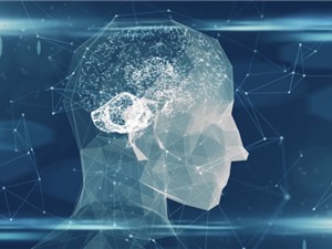 [Video] Cơ chế ghi nhớ của não bộ người cũng giống như bộ nhớ máy tính