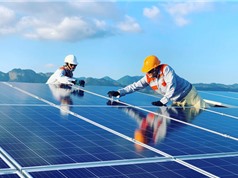IEEFA: Năng lượng tái tạo quyết định tương lai nền kinh tế sản xuất của Việt Nam