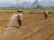 80% diện tích đất trồng trọt khan hiếm nước