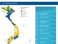 PAPI 2021: Nhiều chỉ số quản trị công sụt giảm