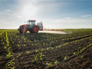 Đất nông nghiệp châu Âu bị nhiễm vi nhựa nặng