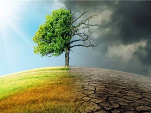 Cơ hội gia tăng lưu trữ khí carbon trong đất