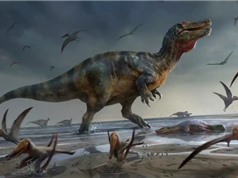 Tìm thấy xương loài khủng long ăn thịt lớn nhất châu Âu