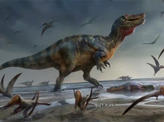 Tìm thấy xương loài khủng long ăn thịt lớn nhất châu Âu