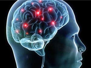 Bộ não của người khỏe mạnh có thể vượt quá 40°C