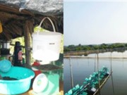 TPHCM: Các mô hình nuôi trồng thủy sản bền vững cho huyện Cần Giờ