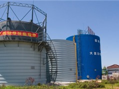 Nông dân Trung Quốc thu khí nhà kính metan từ chăn nuôi