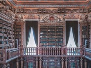 Thư viện của loài dơi ở Bồ Đào Nha