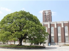 Đại học Kyoto - Nhật bản: Học phủ tối cao