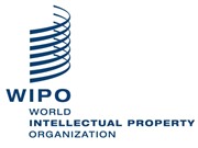 WIPO khuyến nghị thúc đẩy SHTT ở 3 nhóm đối tượng