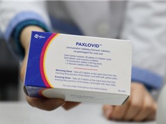 Các nước nghèo bắt đầu được hỗ trợ thuốc điều trị COVID-19