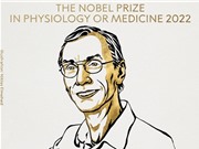 Giải thưởng Nobel 2022