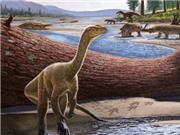 Phát hiện bộ xương khủng long cổ xưa nhất tại châu Phi