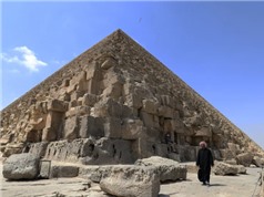 Cách người Ai Cập vận chuyển đá để xây kim tự tháp