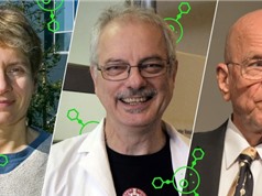 Giải Nobel Hóa học 2022: Hóa học click và ứng dụng trong nghiên cứu tế bào sống