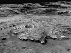 Sao Hỏa cổ đại có thể chứa đầy vi sinh vật