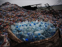 Nhiệt và vi khuẩn tái chế nhựa hỗn hợp thành hóa chất hữu ích