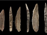 Người Neanderthal và người hiện đại học hỏi công cụ của nhau