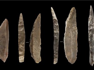 Người Neanderthal và người hiện đại học hỏi công cụ của nhau