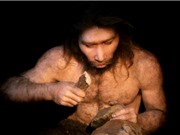 Cộng đồng người Neanderthal sống như thế nào