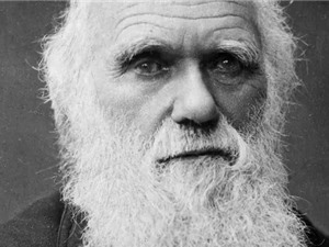 Bản thảo của Charles Darwin có thể được đấu giá lên đến 700.000 bảng Anh