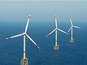 Liên minh Điện gió ngoài khơi toàn cầu tăng nhanh số thành viên