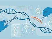 Điều trị ung thư bằng công nghệ chỉnh sửa gene CRISPR