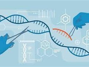 Điều trị ung thư bằng công nghệ chỉnh sửa gene CRISPR